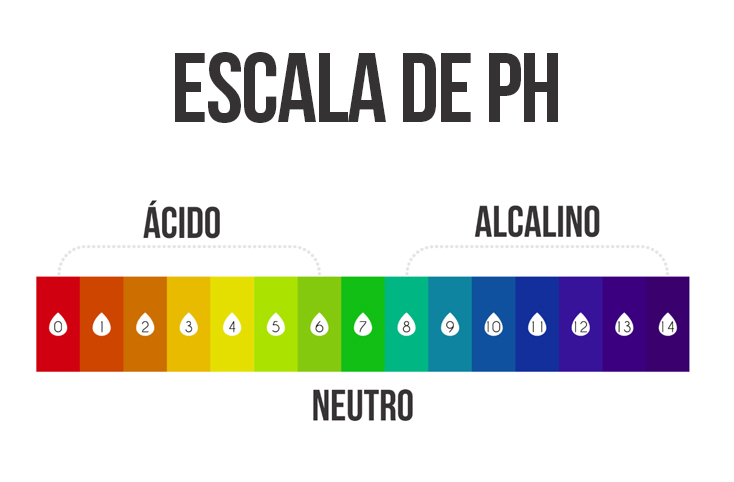 o que é pH - escala de pH - do ácido ao alcalino