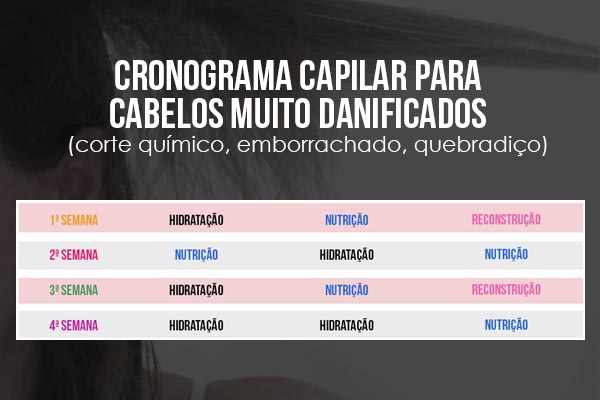 tabela básica cronograma capilar cabelo muito danificado ou com corte químico